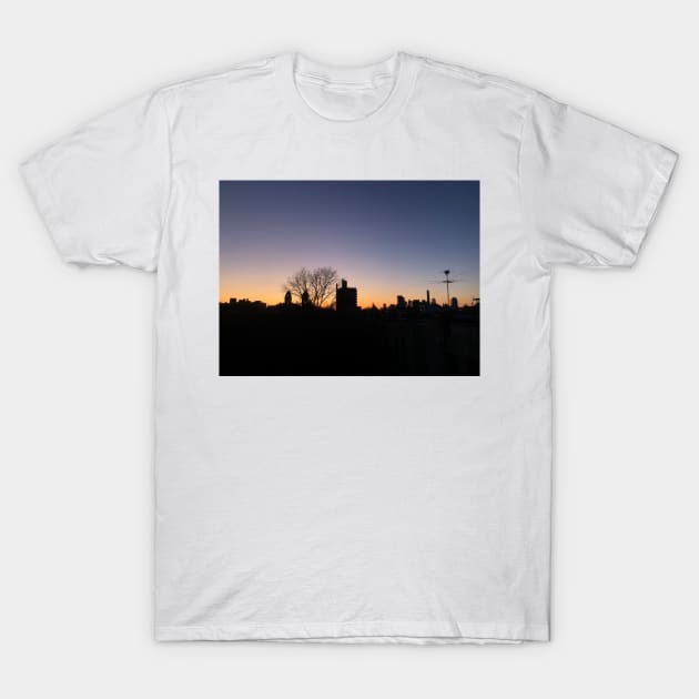 Crown Heights Rooftop Sunset T-Shirt by hannahehansen